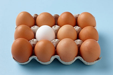 Trứng gà - Công Ty TNHH Sản Xuất Thực Phẩm Thufood